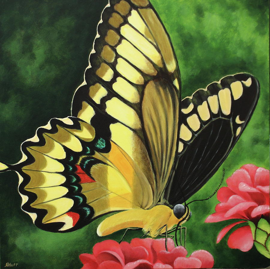 Butterfly Painting - Pretty in yellow butterfly by Natalia Huff