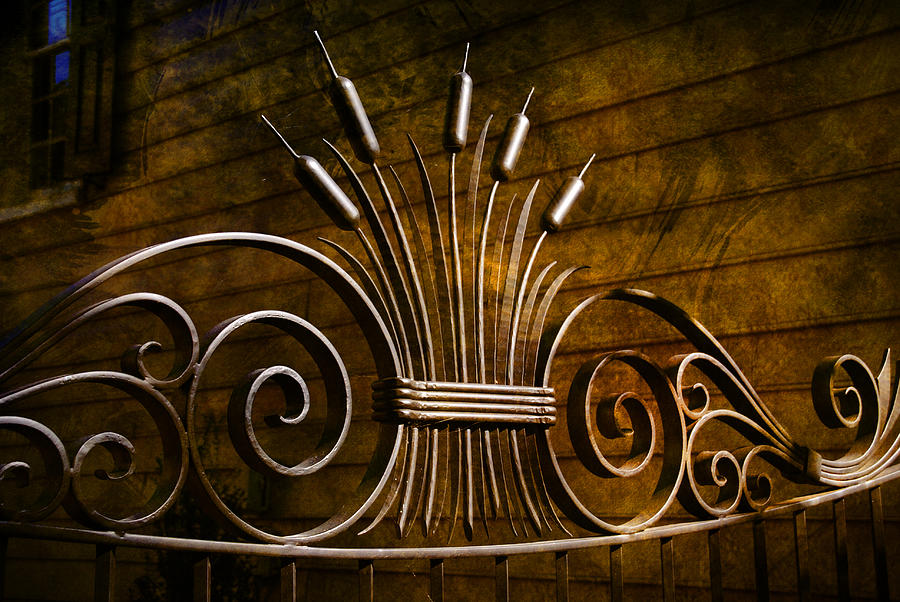 Pretty iron Gate in Charleston Photograph by Susanne Van Hulst