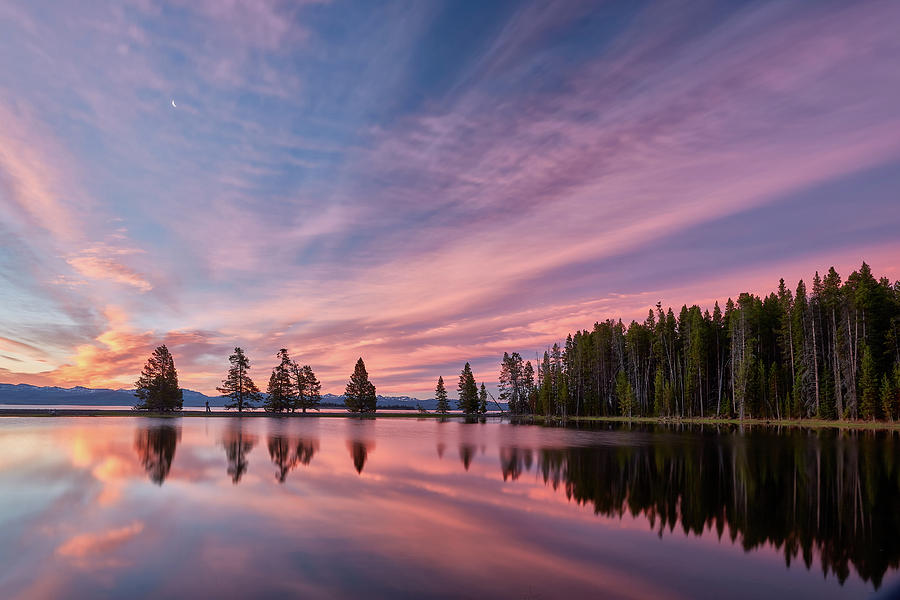 Pretty is Pink Photograph by Jon Glaser