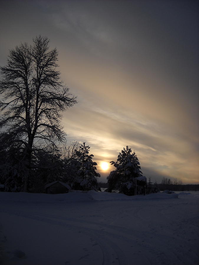 Pretty January Winter Sunset Photograph by Kent Lorentzen