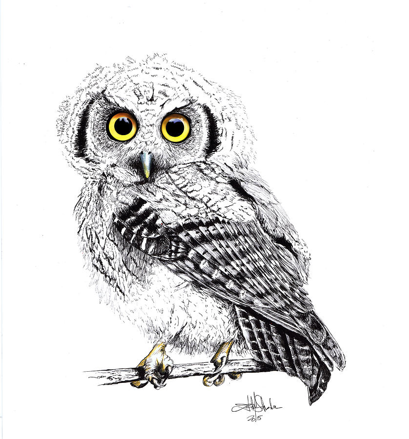 Owl Painting - Pretty Little Owl by Isabel Salvador