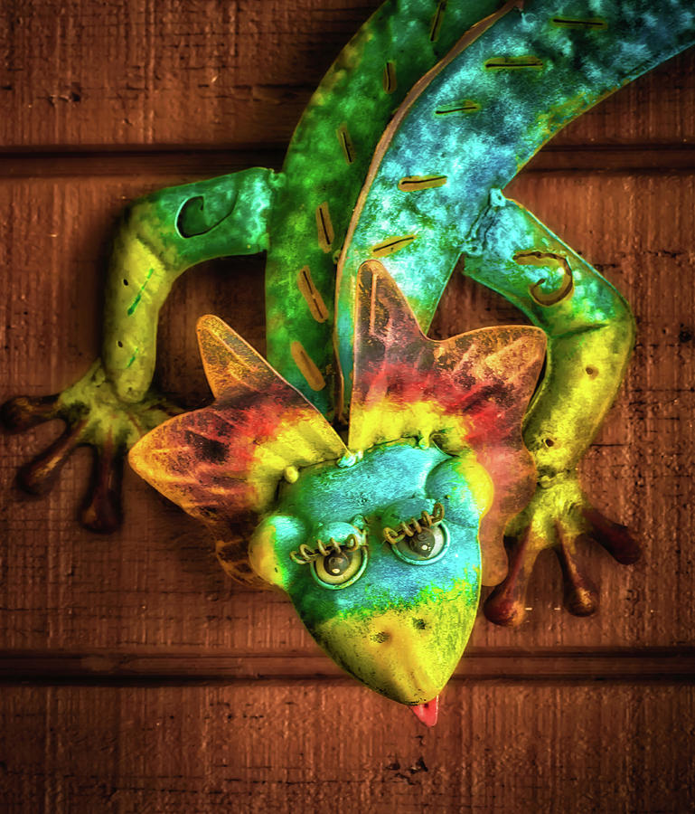 Pretty Lizard Photograph by James Barber