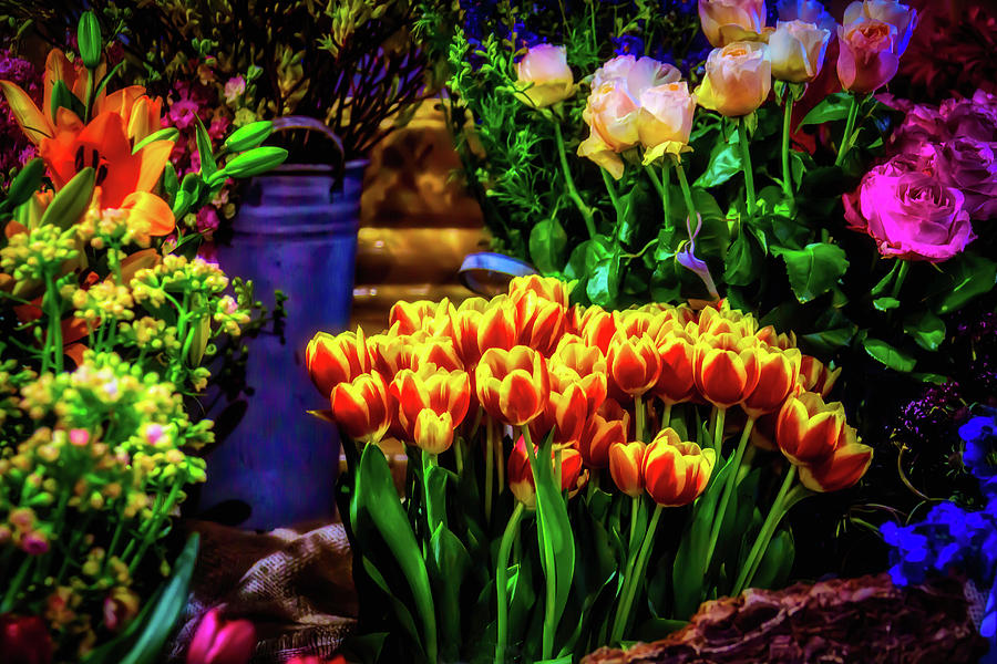 Pretty Moody Tulips Photograph by Garry Gay