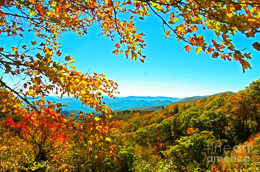 Pretty Mountain Autumn View Photograph by Lydia Holly