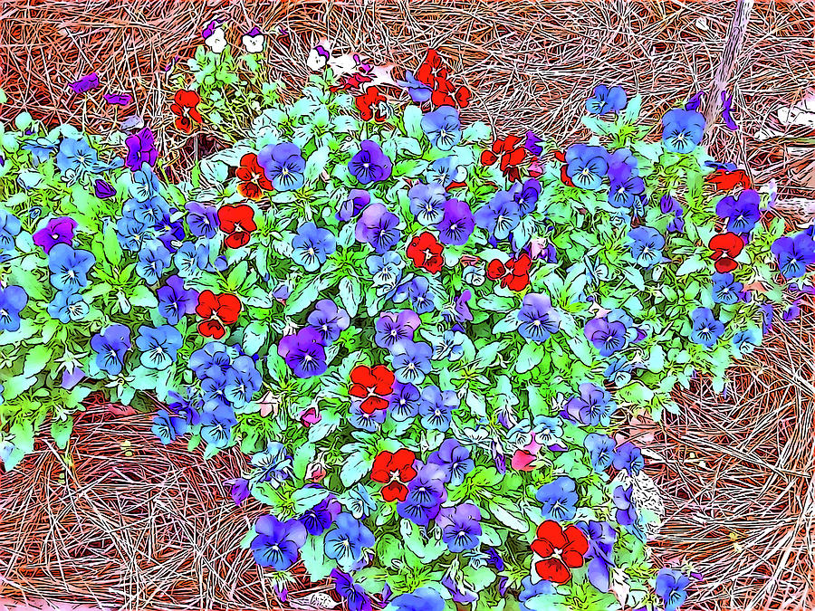 Flower Digital Art - Pretty Pansies on a Sunny Day by Marian Bell