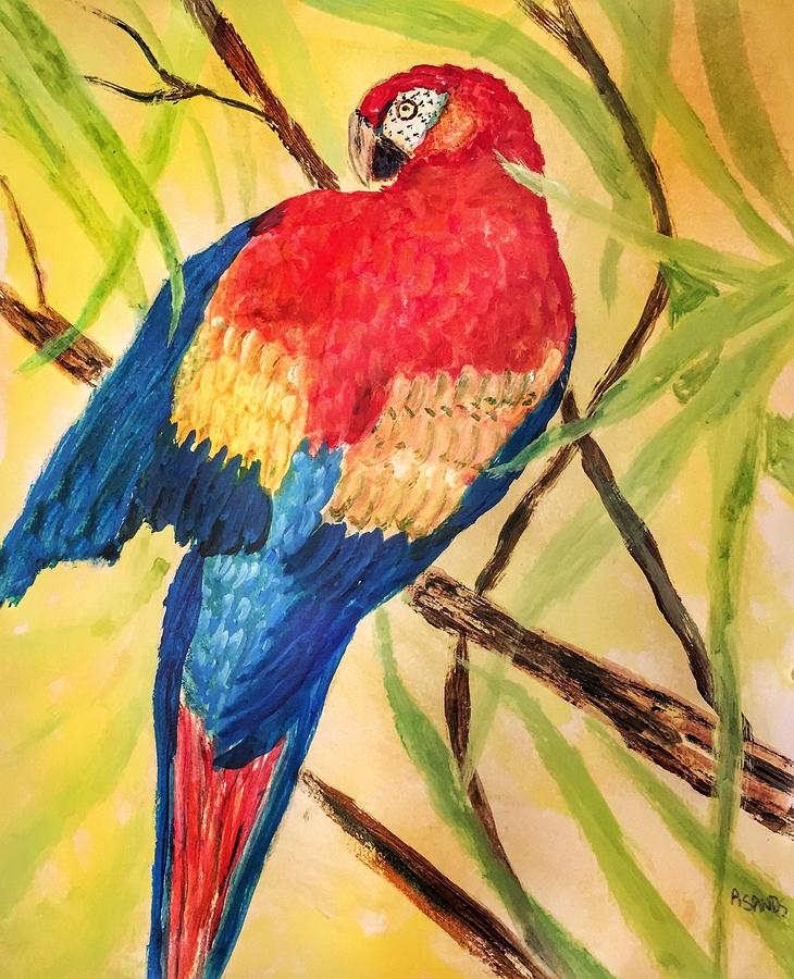 Pretty Parrot Painting by Anne Sands