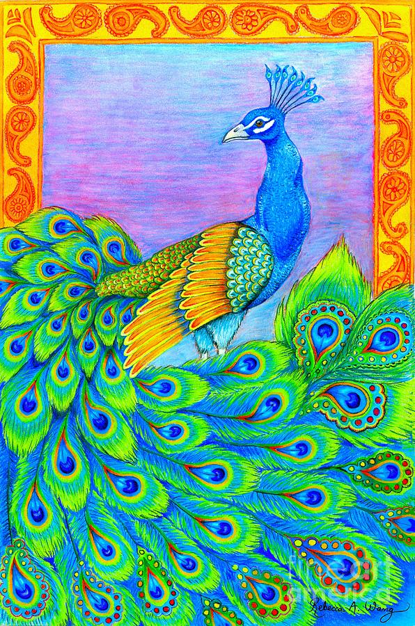 Pretty Peacock Drawing by Rebecca Wang
