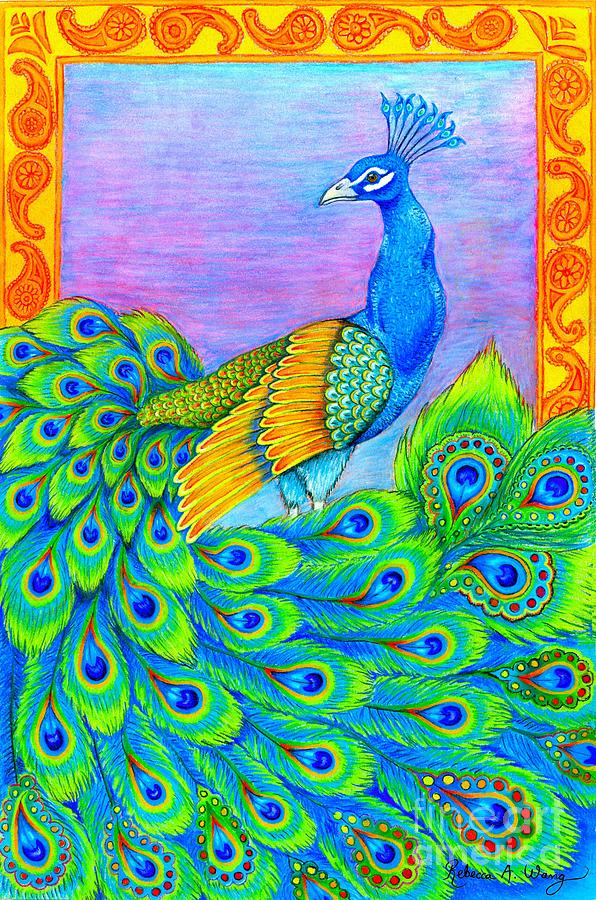 Download Pretty Peacock Drawing by Rebecca Wang