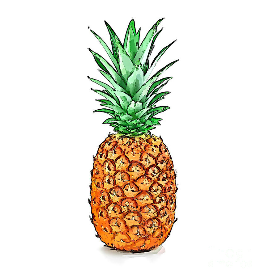 Pretty Pineapple II Digital Art by Jennifer Capo Pretty Pineapple II Digital Art by Jennifer Capo