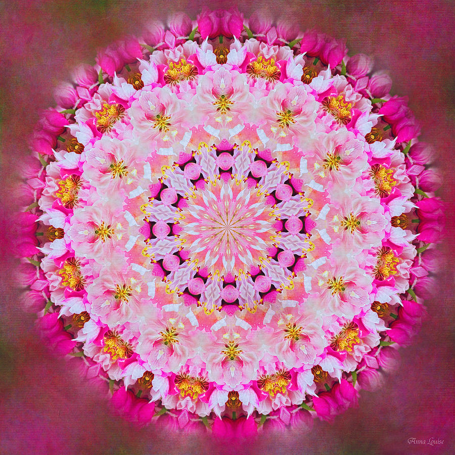 Pretty Pink Floral Kaleidoscope Photograph by Anna Louise