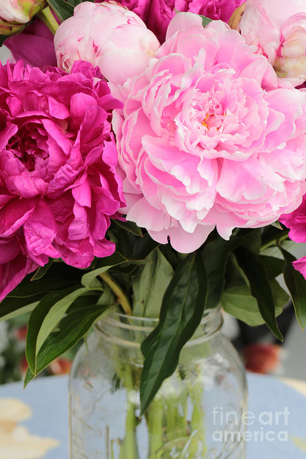 Pretty Pink Peonies In Ball Jar Vase Photograph