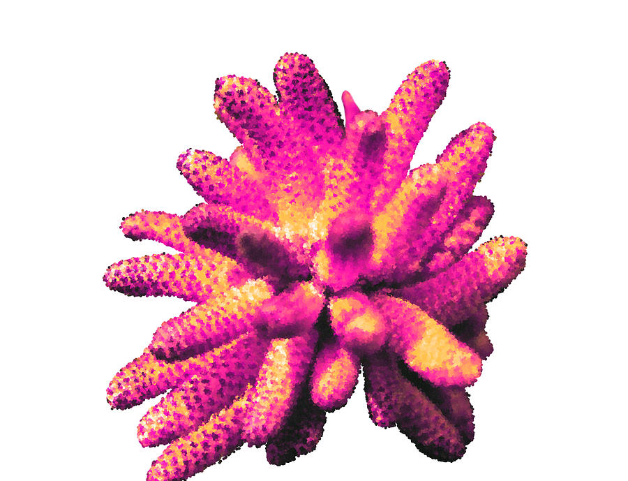 Pretty Pink Pinecone Painting by Bruce Nutting