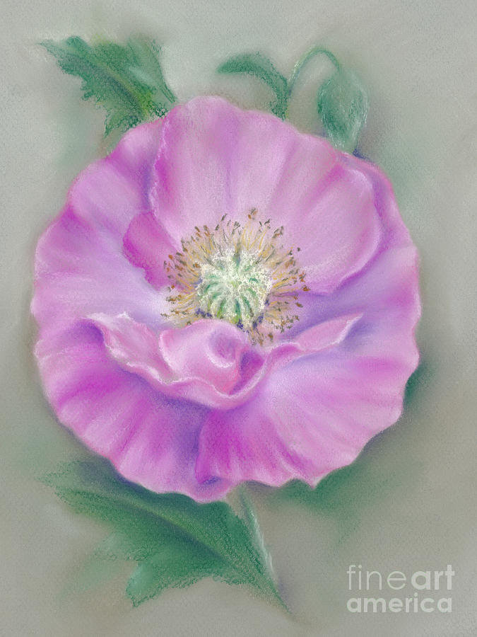 Pretty Pink Poppy Painting by MM Anderson