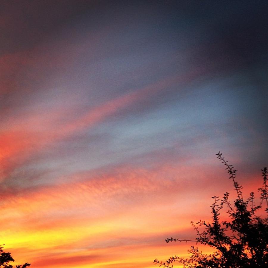 Pretty Sky ⛅ Photograph by Elizabeth Dominguez