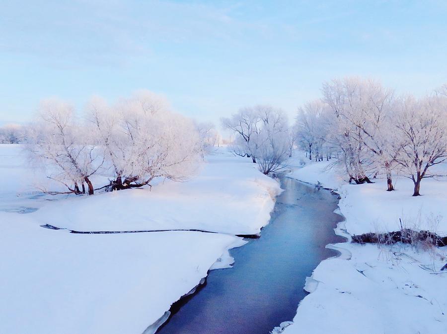 Pretty Winter Stream Photograph by Lori Frisch