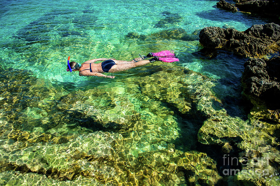 Pretty Woman in Bikini Snorkeling through Turquoise Water at the Coast Photograph by Andreas Berthold