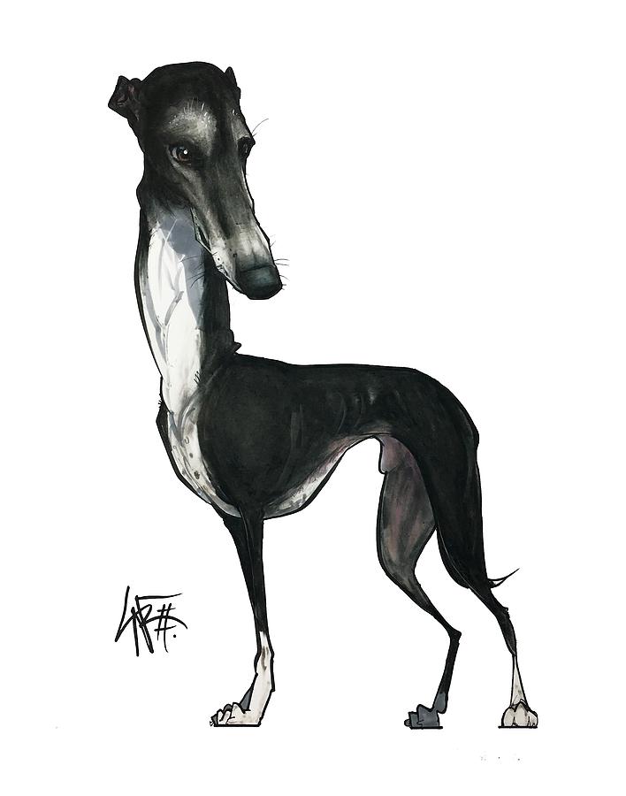 Greyhound Drawing - Price 3822 by John LaFree