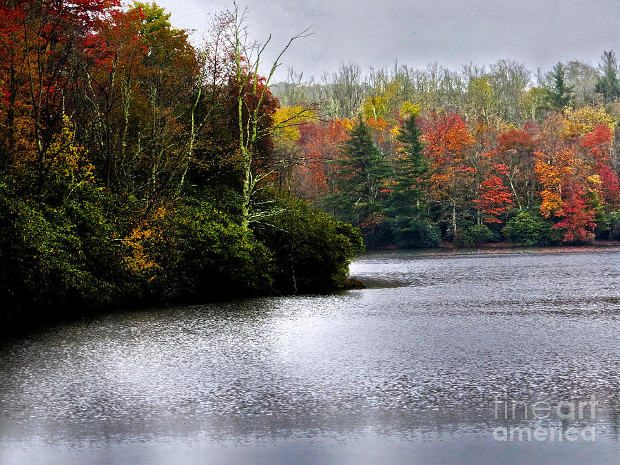 Nature Photograph - Price Lake In The Fall by Dawn Gari