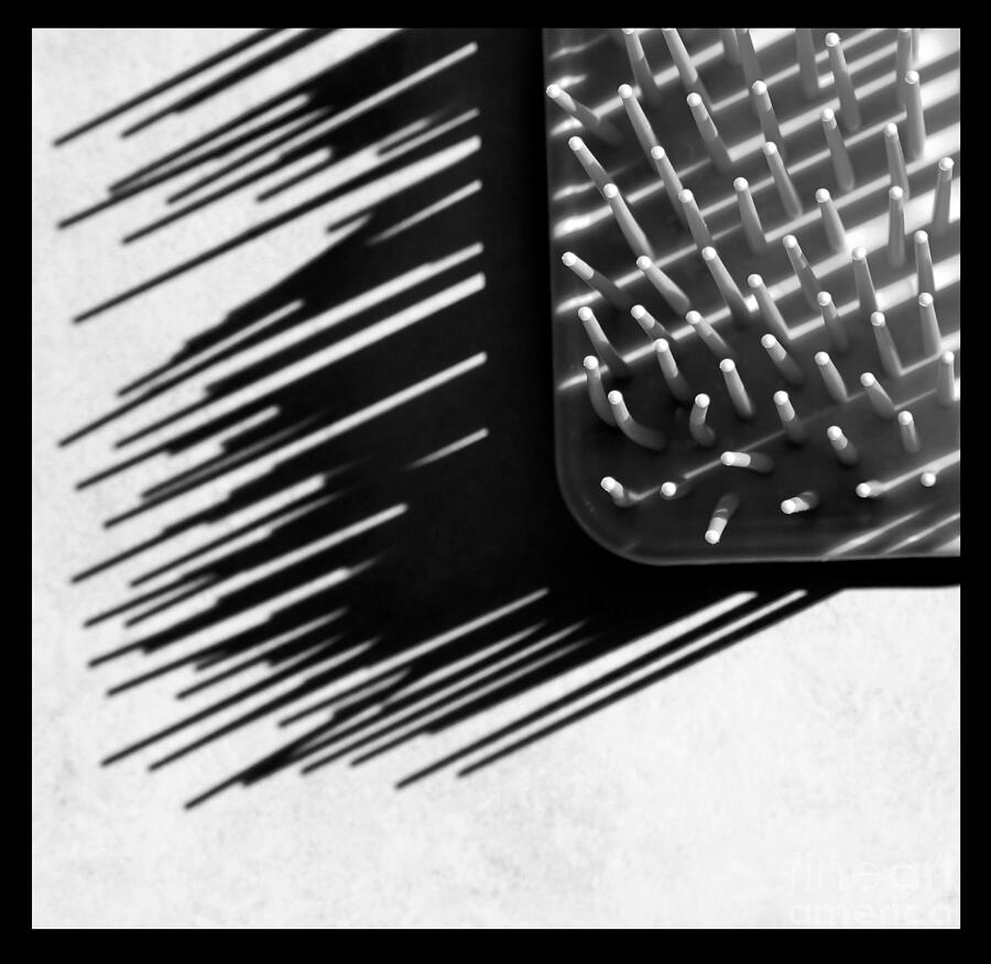 Prickly Abstract Black and White Square Photograph by Karen Adams