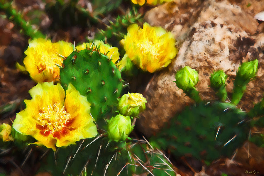 Prickly Pear Cacti With Yellow Blooms Photograph by Anna Louise