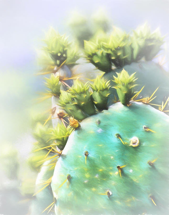 Prickly Pear Cactus Photograph by David and Carol Kelly
