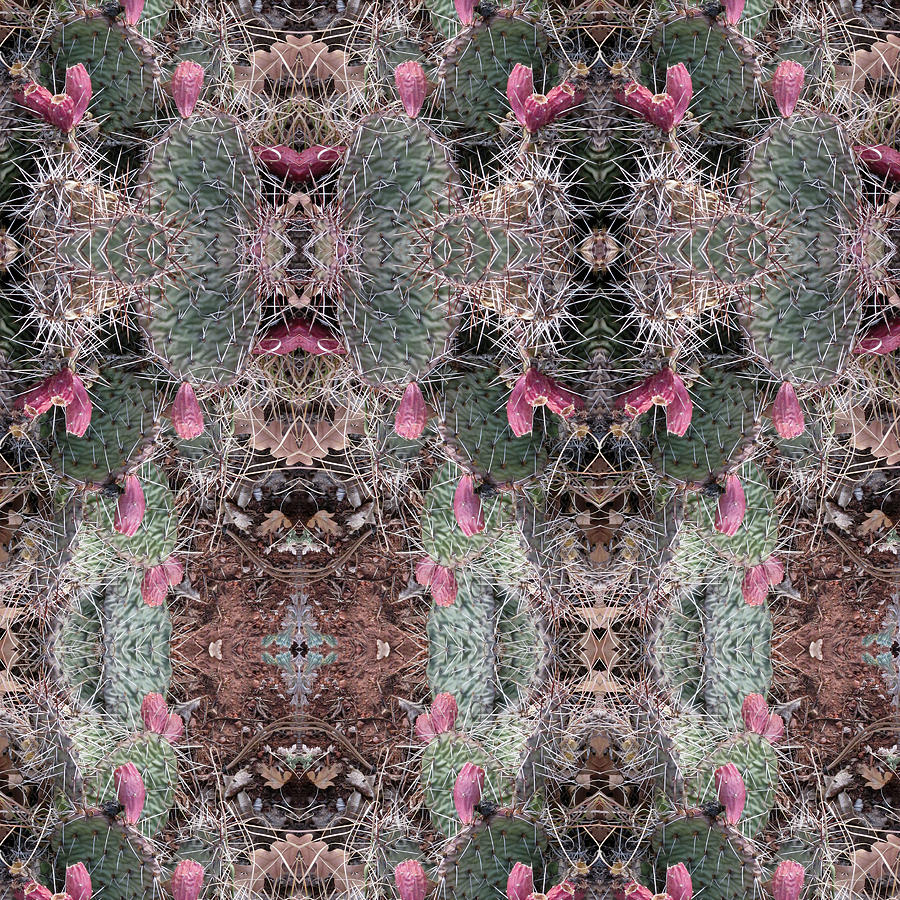 Prickly Pear Cactus Kaliedoscope Views Digital Art by Julia L Wright