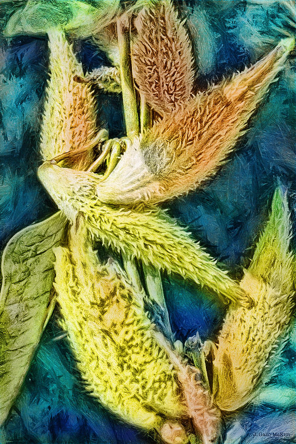 Prickly Pods Digital Art by Jo-Anne Gazo-McKim