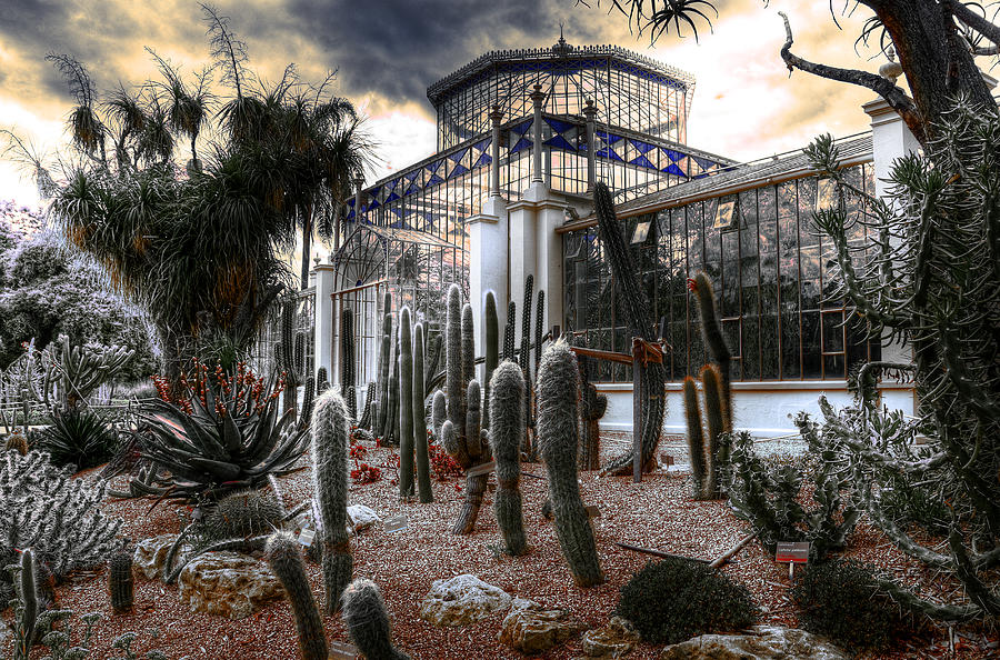 Architecture Photograph - Pricklyscape by Wayne Sherriff