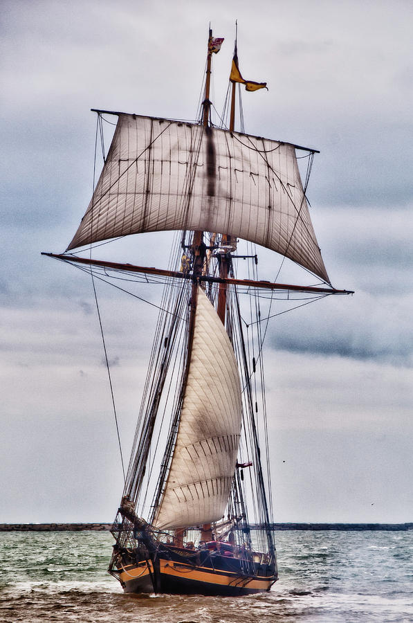 Pride of Baltimore II  5986 Photograph by Guy Whiteley