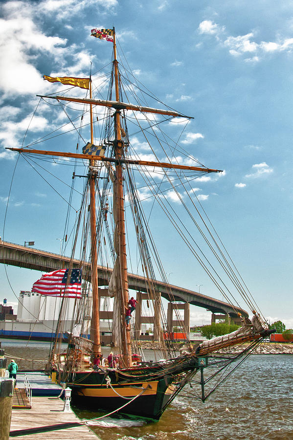 Pride of Baltimore II 6298 Photograph by Guy Whiteley