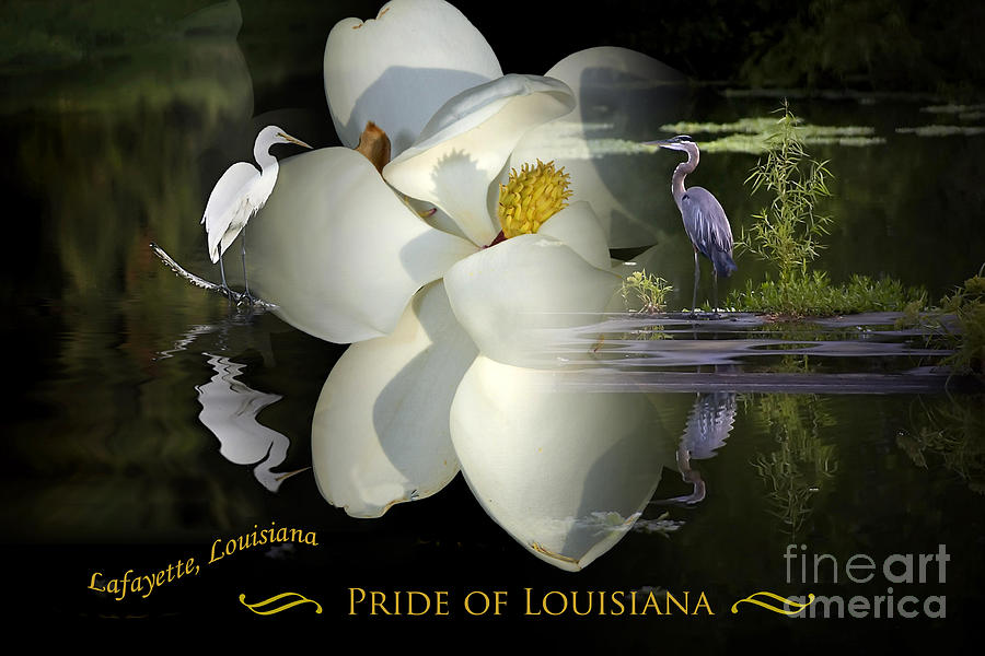 Pride of Louisiana Photograph by Cecil Fuselier