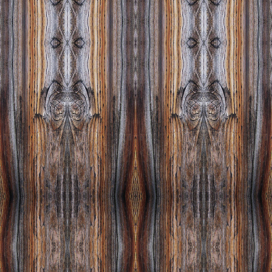 Priestesses Seen on a Picket Fence Digital Art by Julia L Wright