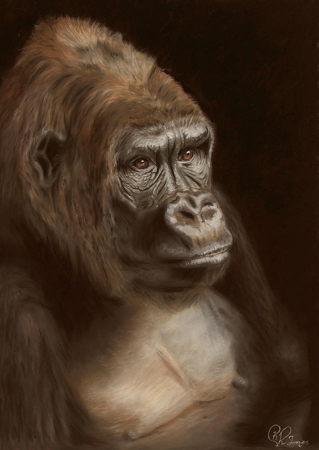 Gorilla Pastel - Primal by Kirsty Rebecca