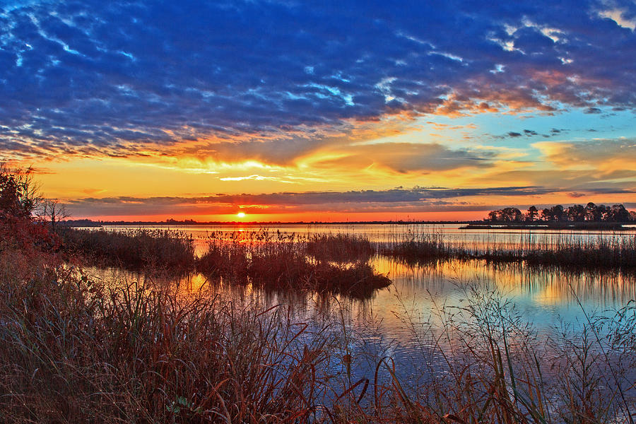 Colors and Reflections by Robert Pilkington Colors and Reflections by Robert Pilkington