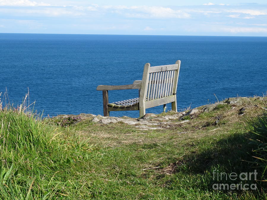 Prime Position Photograph by Karen Jane Jones Prime Position Photograph by Karen Jane Jones