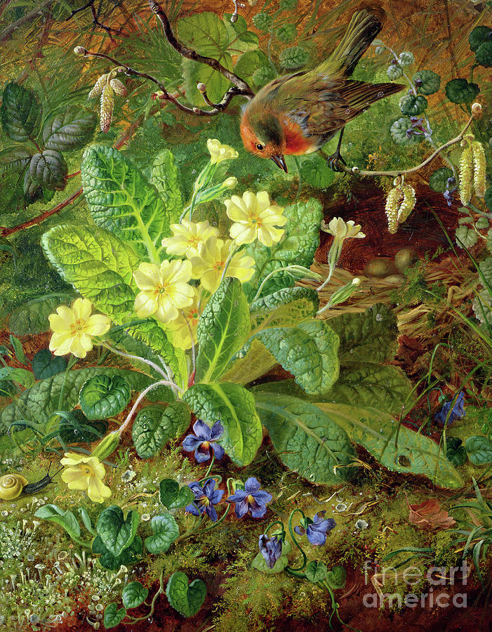 Primrose and Robin Painting by William John Wainwright