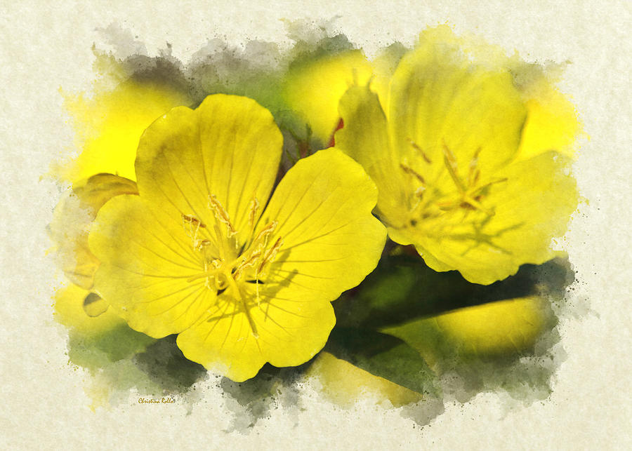 Primrose Flower Invitation Note Card Mixed Media by Christina Rollo