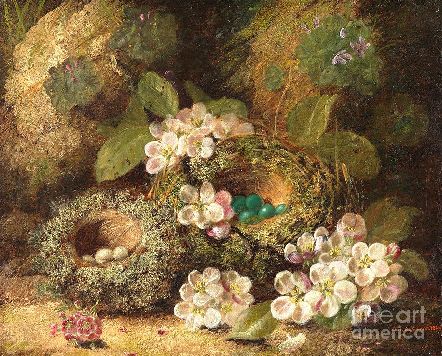 Primroses and Birds Nests on a Mossy Bank Painting by Oliver Clare