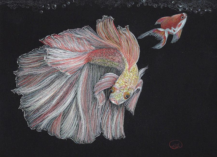 Fish Drawing - Princess and Pete by Nila Taylor