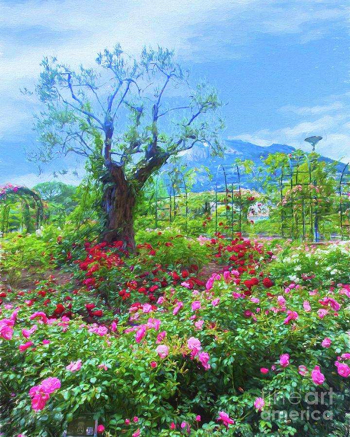 Princess Grace's Rose Garden-5 Digital Art By Cary Philbrick - Fine Art ...