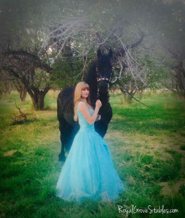 Princess' Stallion by Carol Whitaker Princess' Stallion by Carol Whitaker