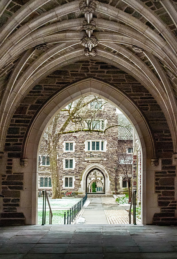 Princeton Arches 5740 Photograph by Ginger Stein