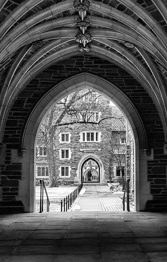 Princeton Arches BW  Photograph by Ginger Stein