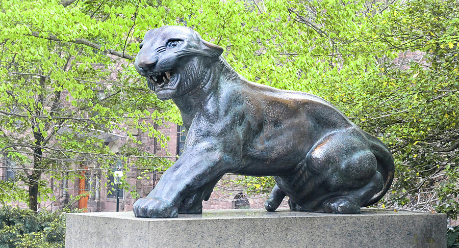 Princeton Tiger Statue Photograph by Dave Mills