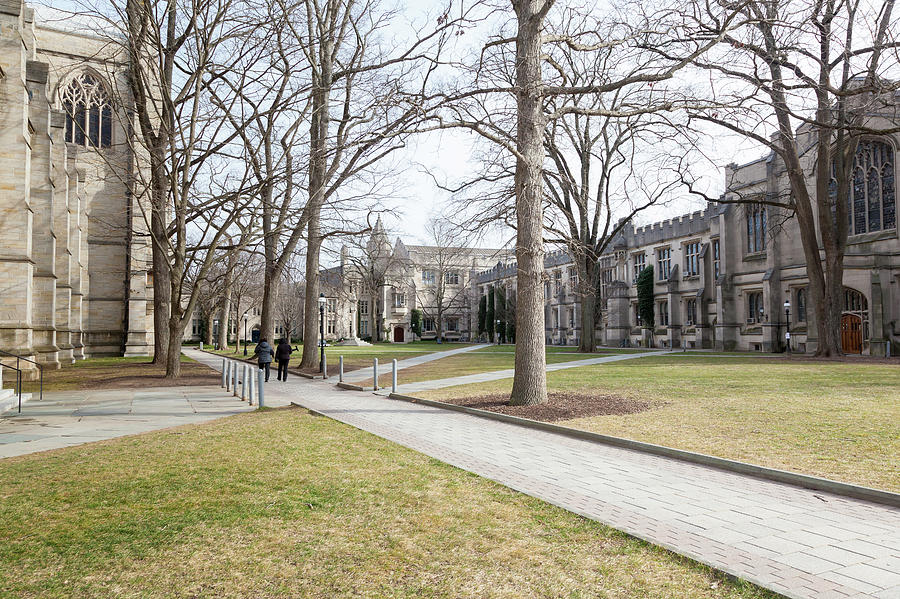 Princeton University Campus Photograph by Erin Cadigan | Fine Art America