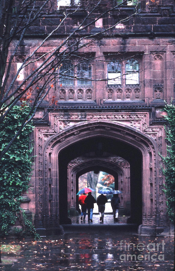 Princeton University in the Rain Tom Wurl Photograph by Tom Wurl