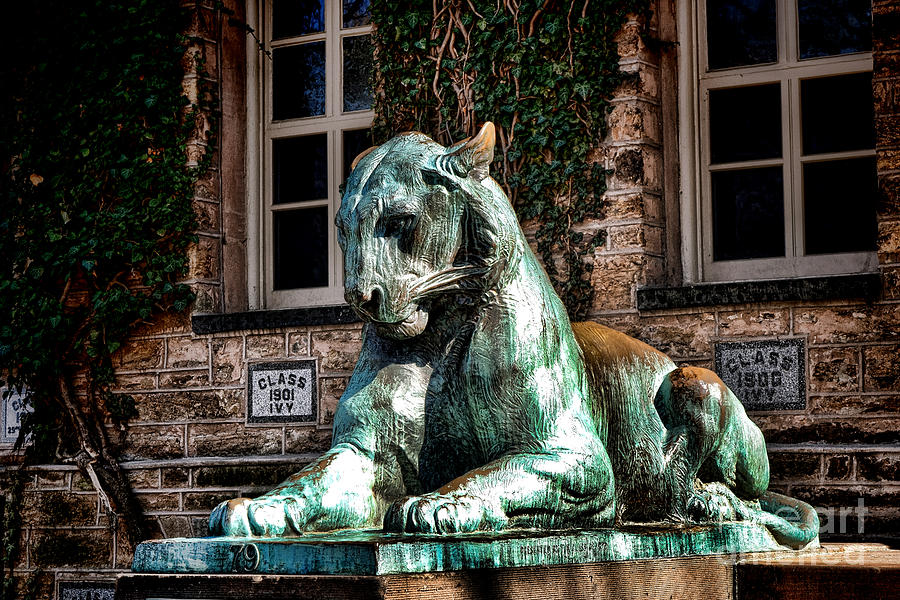 Princeton University Nassau Hall Tiger  Photograph by Olivier Le Queinec