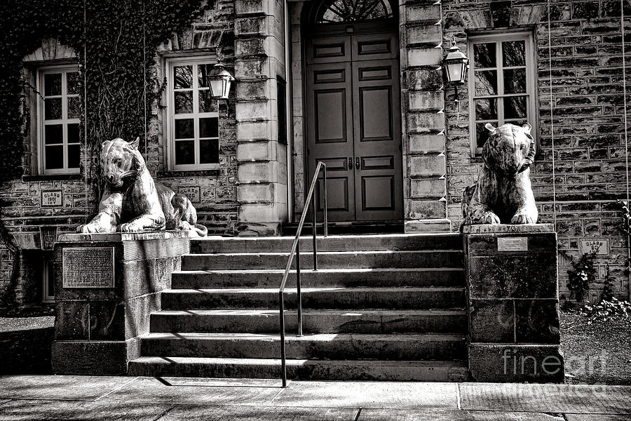 Princeton University Tiger Statue Photograph by Olivier Le Queinec