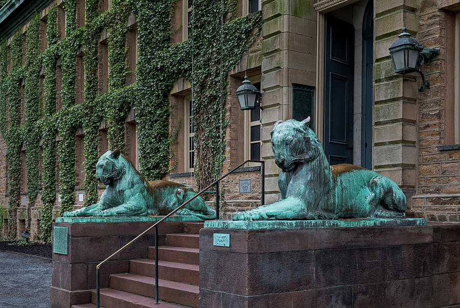 Princeton University Nassau Hall Tigers Photograph by Susan Candelario