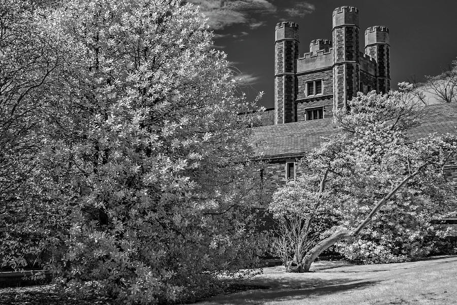 Princeton University Buyers Hall Photograph by Susan Candelario
